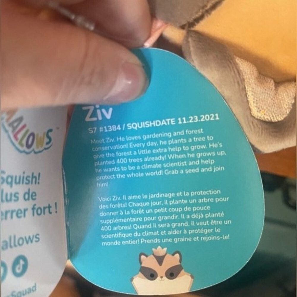 Squishmallow Ziv The Sugar Glider 7.5 inch - Picture 5 of 5